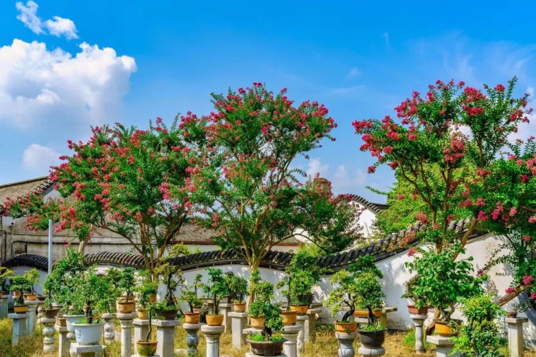 文创雪糕上新!"五一"耍温江这些也很上"心"