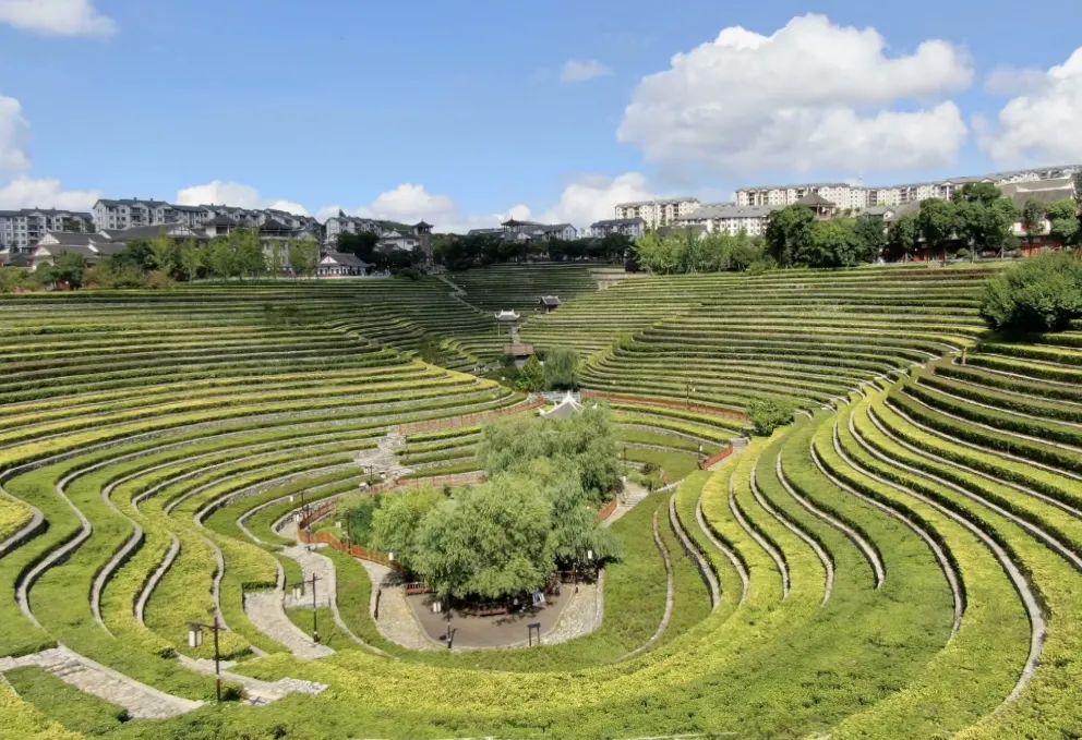 反向旅游新潮流!毕节公交可到达
