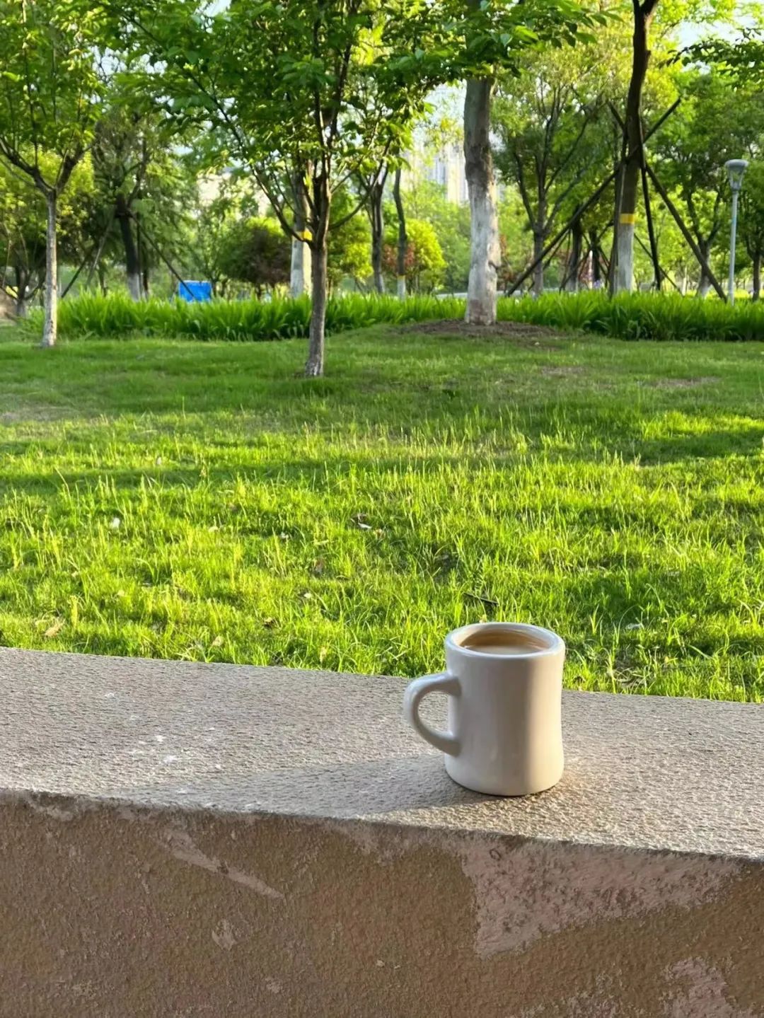 跨过彩虹桥可以到卜籁咖啡坐坐整个店铺被大树和花儿包围空旷幽静视野