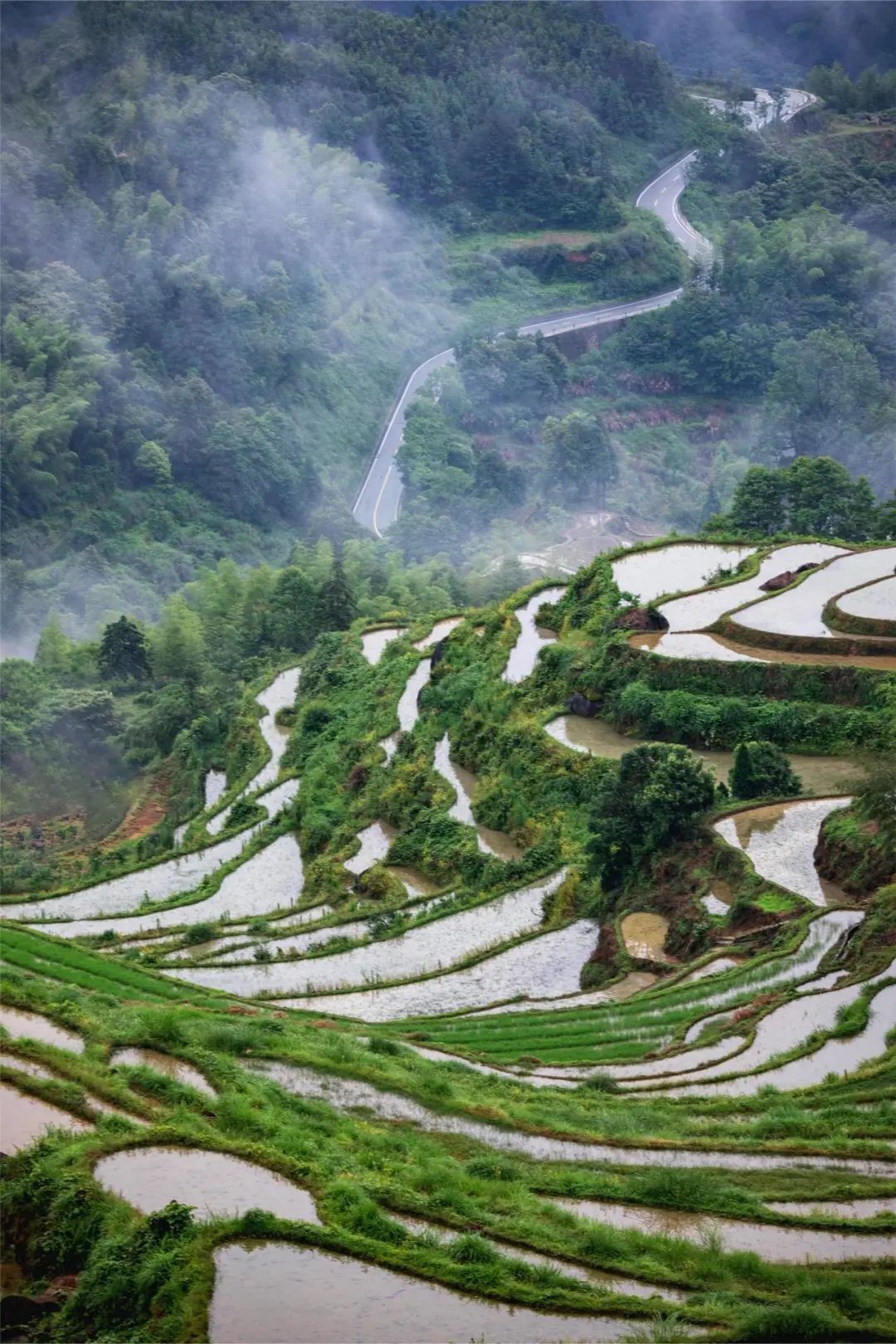 春游丽水：玩转云和全攻略-第7张图片-海南百花岭热带雨林文化旅游区