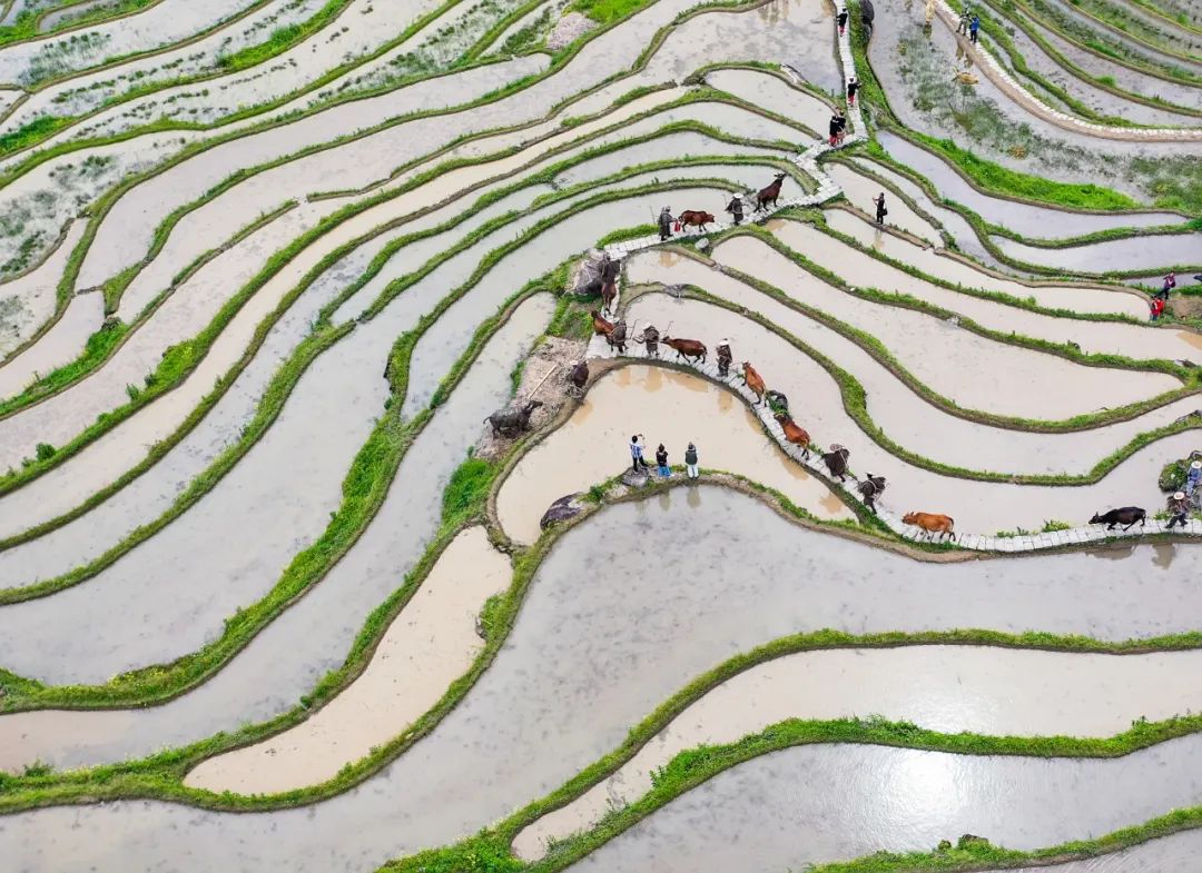 春游丽水：玩转云和全攻略-第9张图片-海南百花岭热带雨林文化旅游区