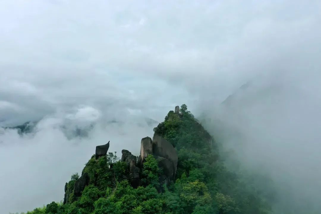 春游丽水：玩转云和全攻略-第37张图片-海南百花岭热带雨林文化旅游区