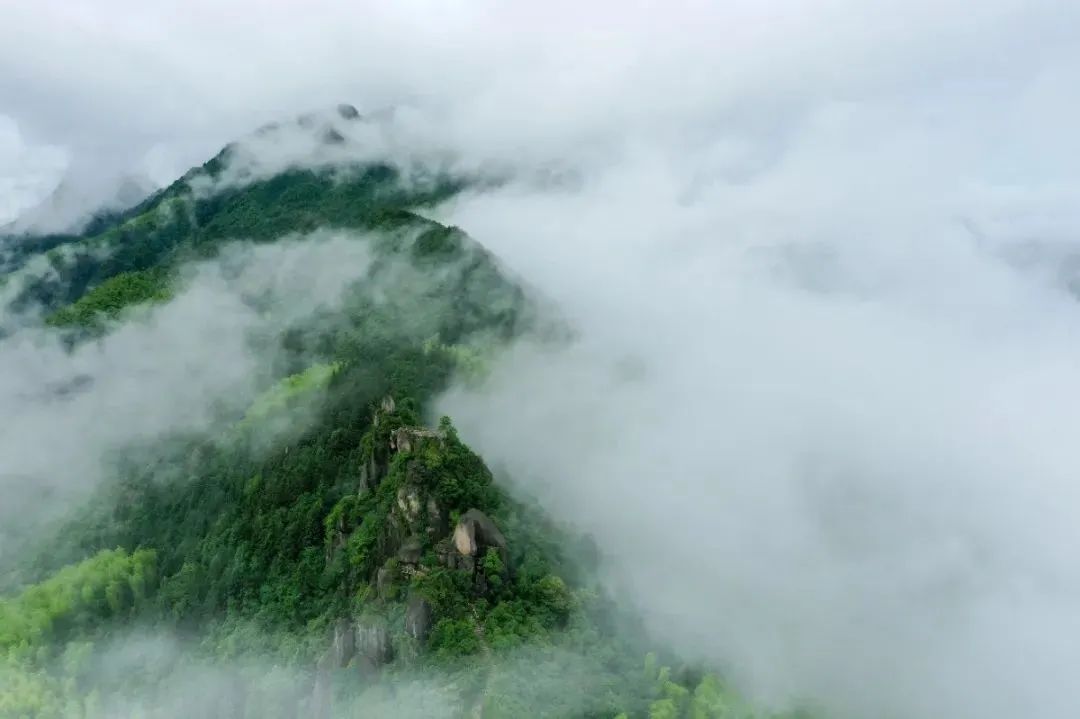 春游丽水：玩转云和全攻略-第38张图片-海南百花岭热带雨林文化旅游区