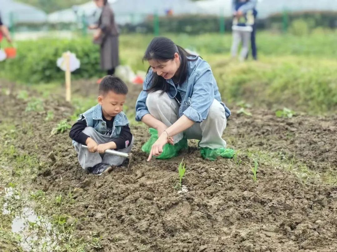 春游丽水：玩转云和全攻略-第56张图片-海南百花岭热带雨林文化旅游区