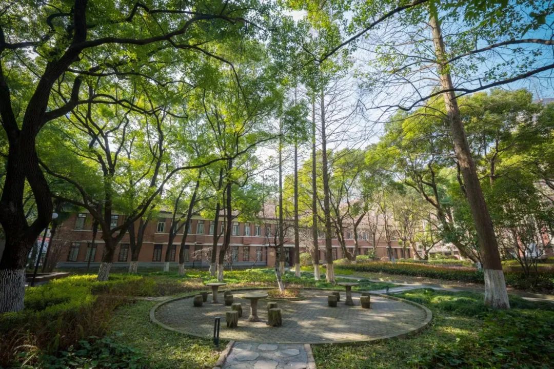 【母校风光】东华大学延安路校区,时尚感拉满!_澎湃号