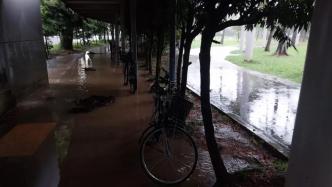 新加坡暴雨模式开启，将持续两周！公寓停车场淹水豪车泡水、航班受影响