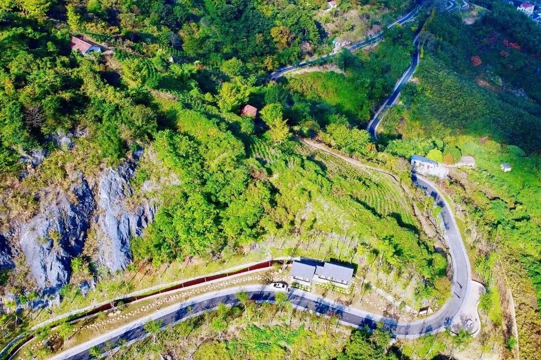 在余杭,惬意走绿道!