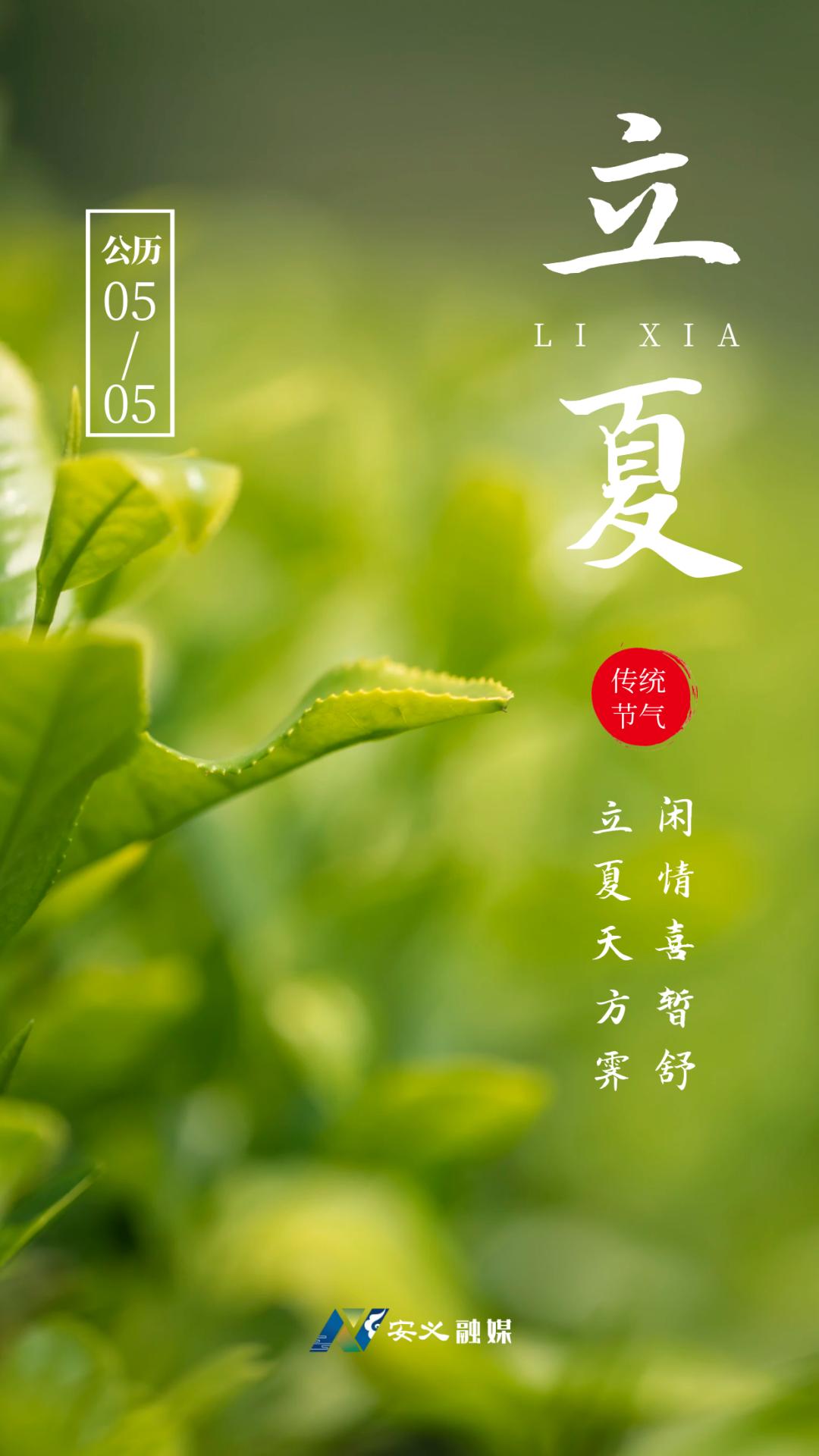 融媒海报丨立夏节气 万物至此皆长大