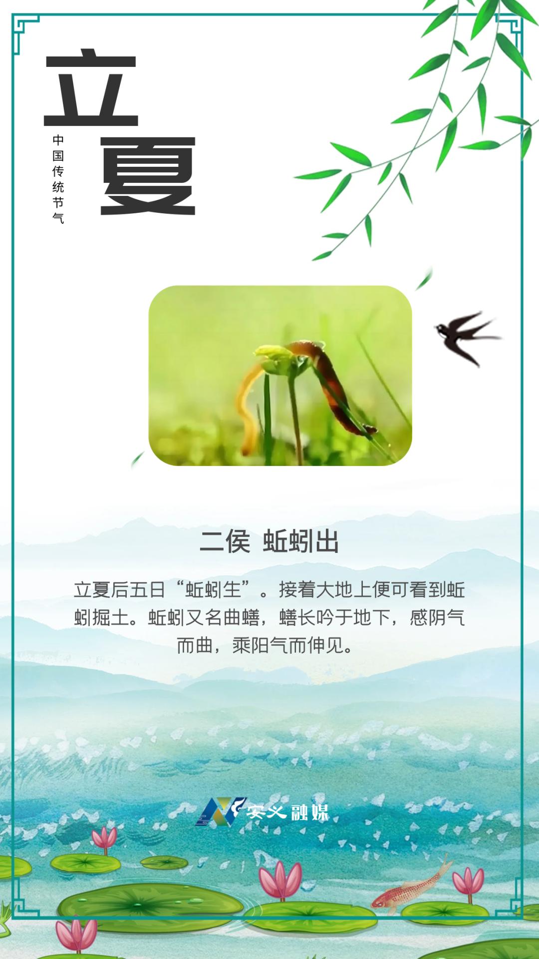 融媒海报丨立夏节气 万物至此皆长大