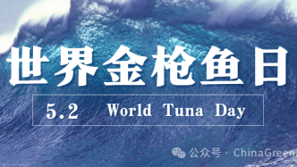 產值近100億美元！如何拯救被過度捕撈的“它們”| 世界金槍魚日