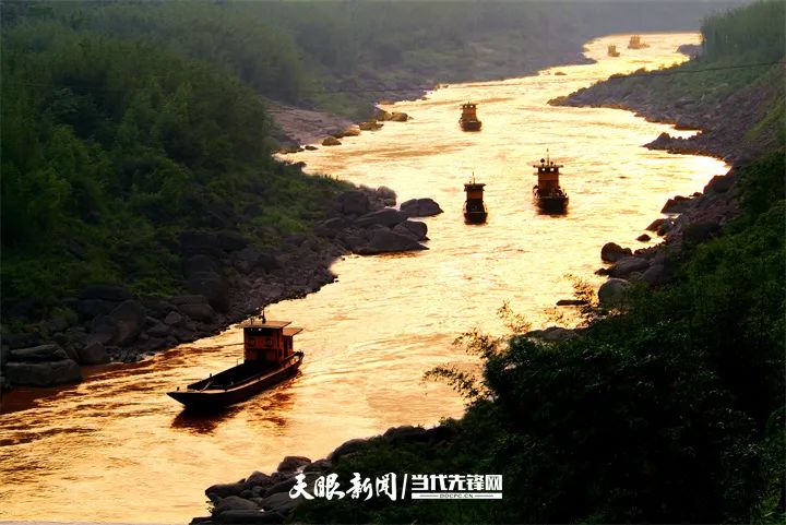 筑牢长江上游生态屏障!消失多年的鱼类重现赤水河