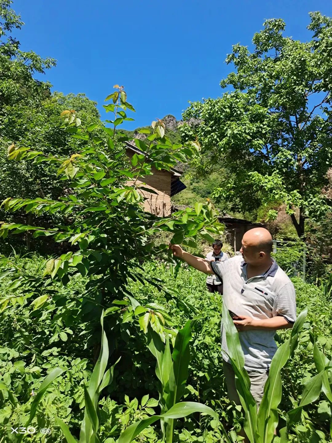 文县临江寨子村案件图片