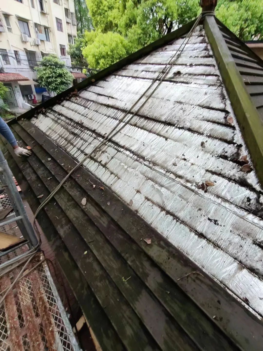 翻新凉亭,他们携手解民愁