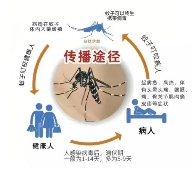 广东疫情分布图最新图片