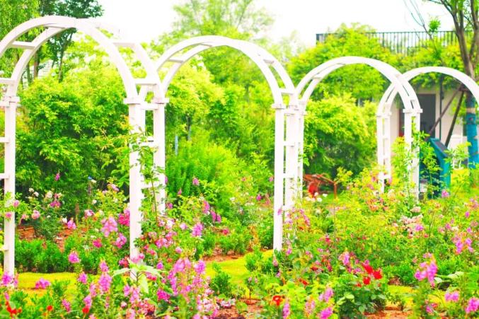 欧式建筑清香扑面而来徜徉月季花海跃然眼前宝藏花园"花间"玫瑰园来到
