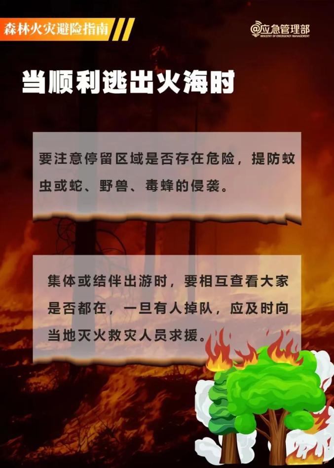 森林草原防火宣传短信图片