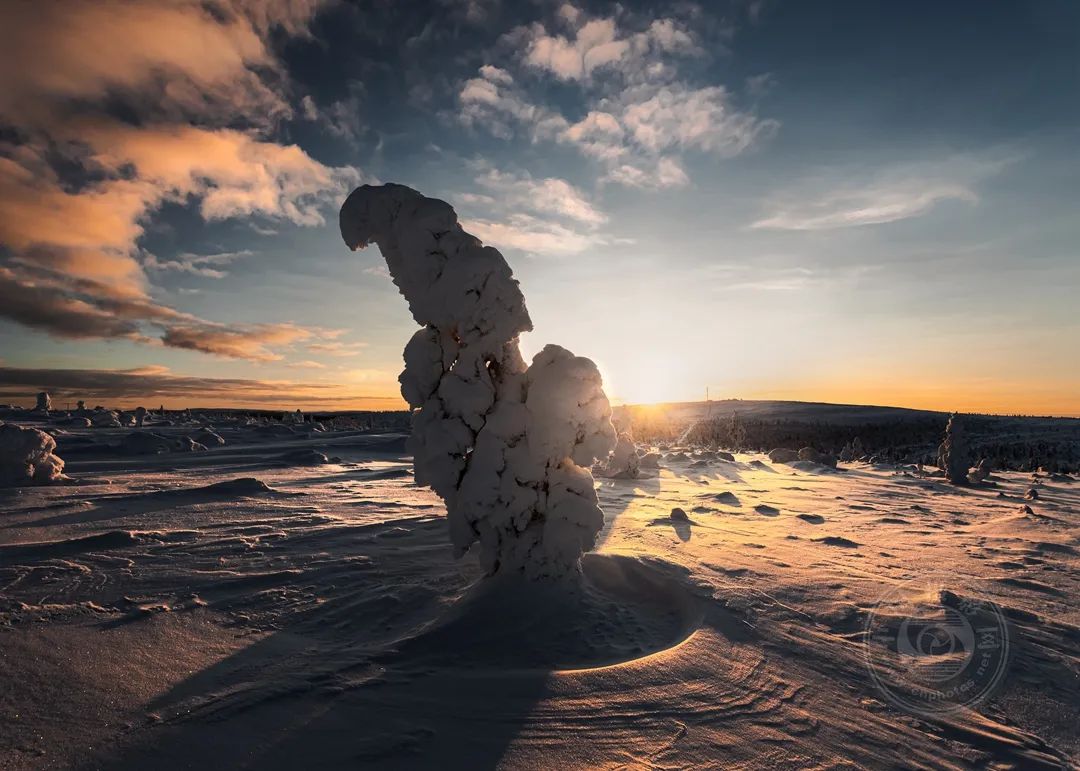 非专业组 | 2023年布达佩斯国际摄影奖(自然类)获奖作品公布