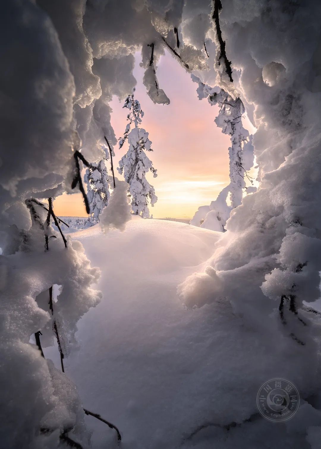 非专业组 | 2023年布达佩斯国际摄影奖(自然类)获奖作品公布