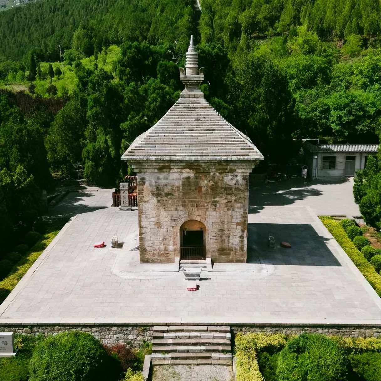 被网友亲昵的称为"猫猫寺"因猫猫众多济南四门塔风景区开启奇妙寻猫之