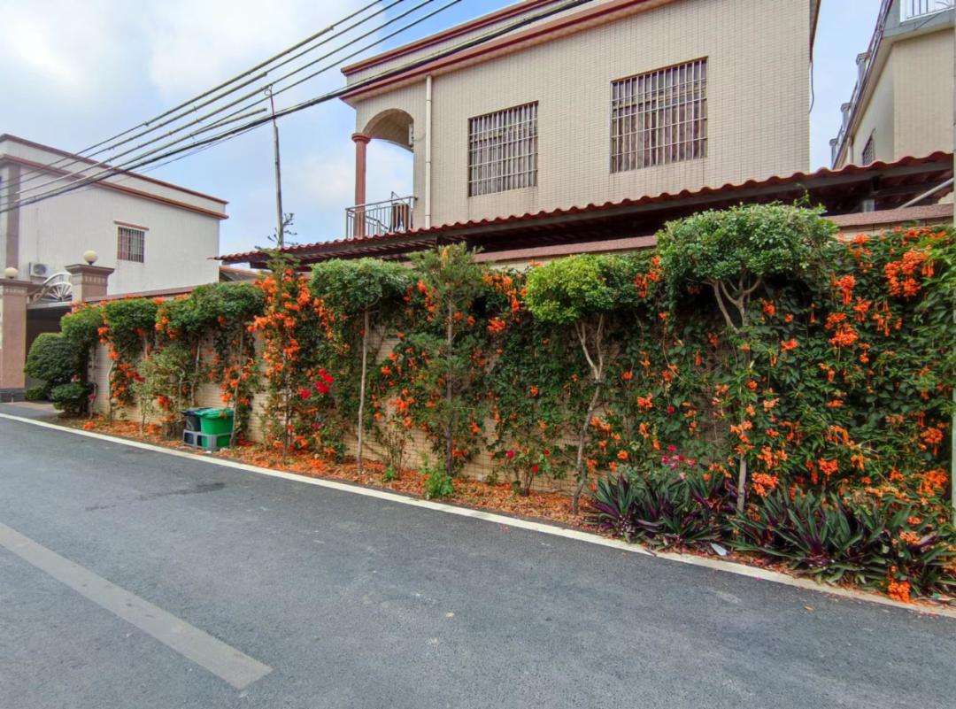 "小空间大作为",美丽庭院打造绿美宜居乡村