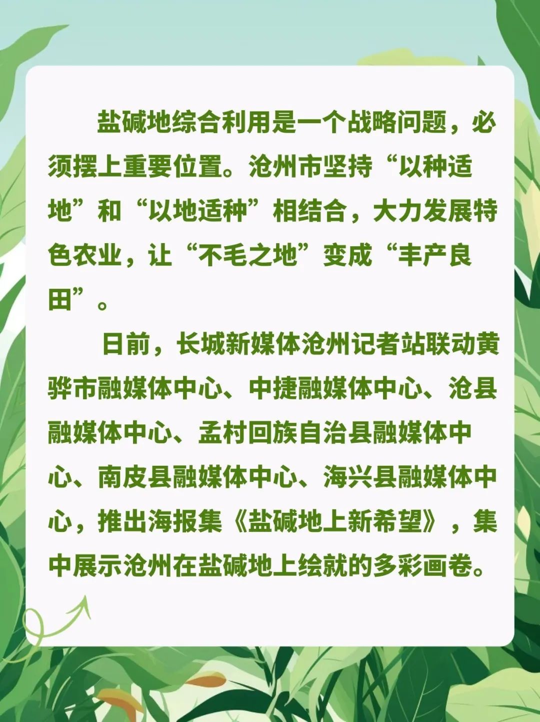 "黄骅旱碱麦"被列入2023年全国"土特产"推介名单……沧州