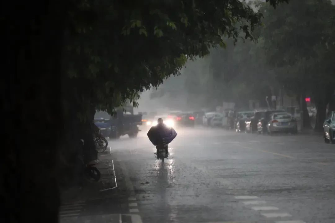 新一轮雨҈雨҈雨҈，周末将上线！ 澎湃号·政务 澎湃新闻 The Paper