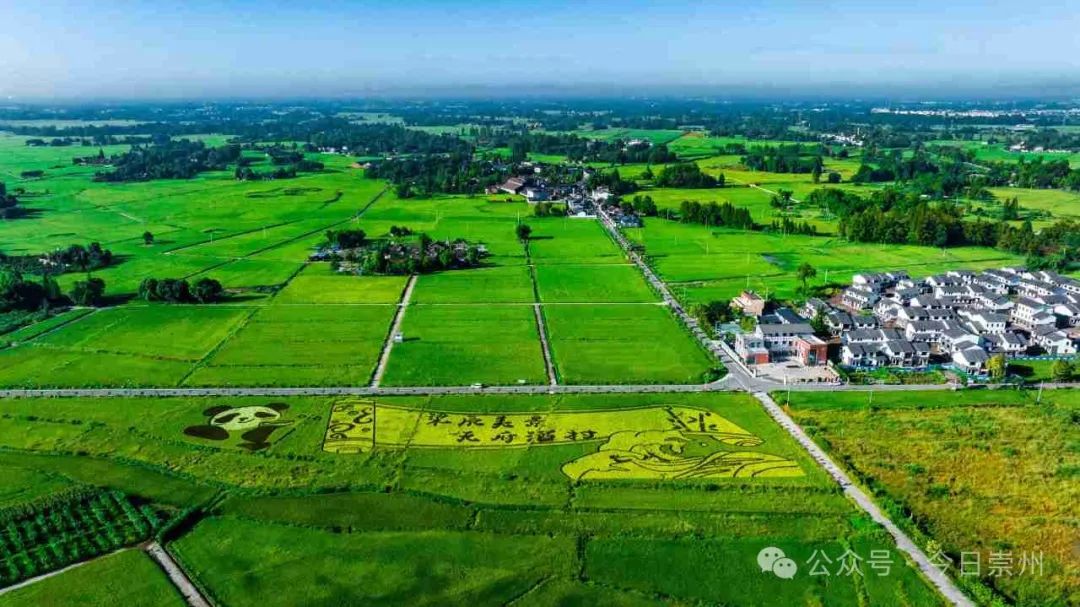 崇州首次_澎湃号·政务_澎湃新闻-the paper