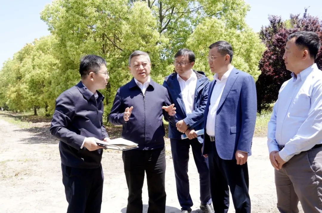 书记区长查防汛 | 宝山区主要领导带队巡河,实地检查防汛工作