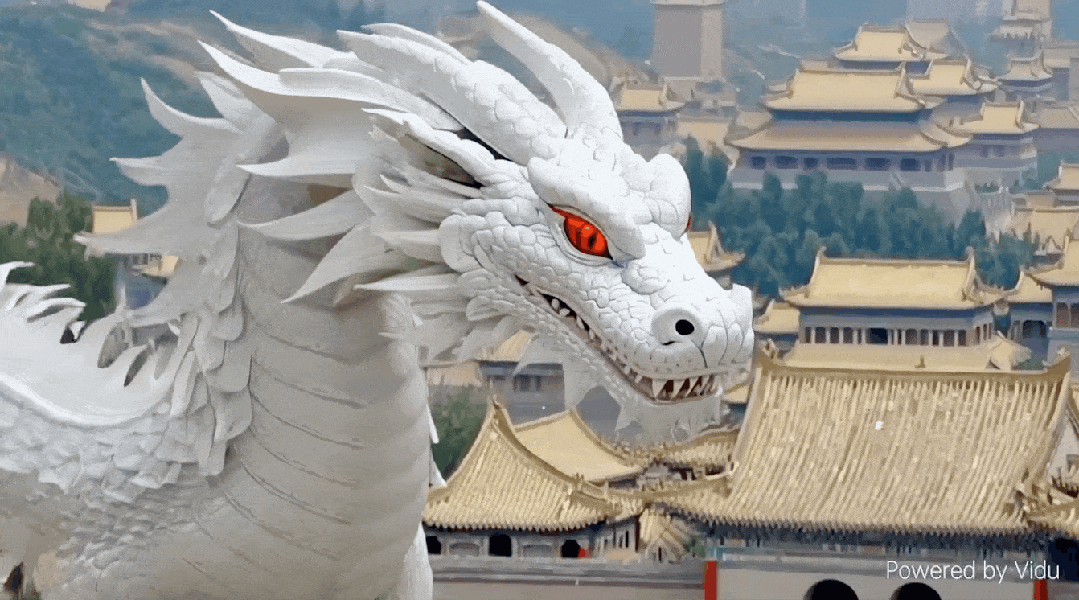 真龙的视频,以及一段熊猫在湖边弹吉的视频,可以更好地理解富有中国