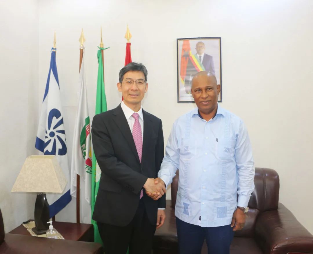 驻几内亚比绍大使到任拜会几比总理德巴罗斯_澎湃号·政务_澎湃新闻-t