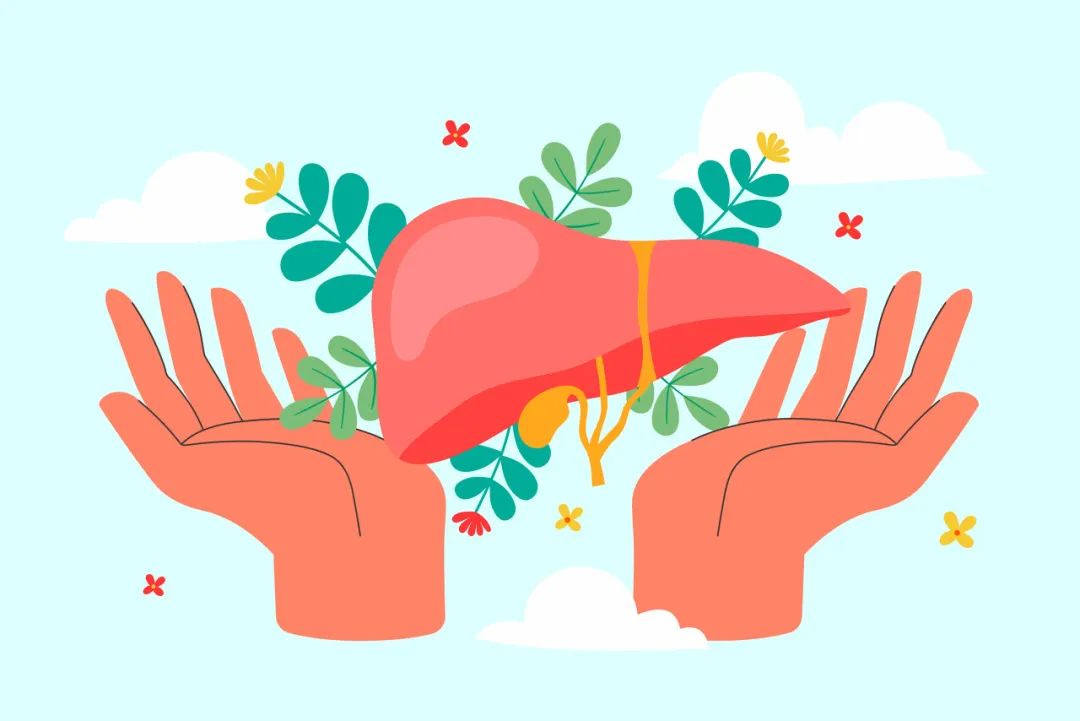 肝好不好,看手掌就知道?识别肝脏的"求救信号"