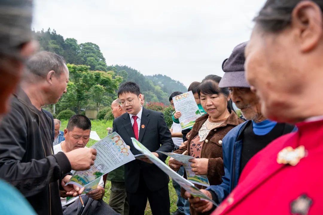 【环资审判飓风行动】巡回法庭"两长"同堂履职 守护百年古村莺声燕语