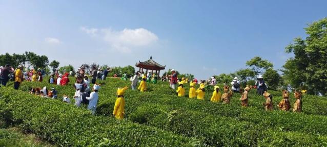 "美丽中国行"走进洪山镇