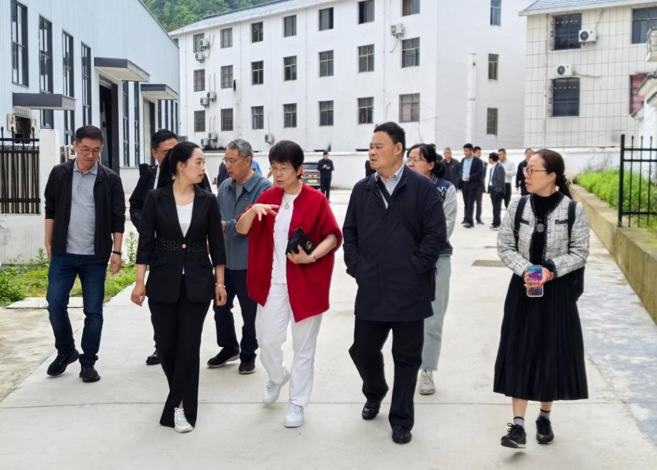 农工党上海市委赴六安市开展乡村振兴调研