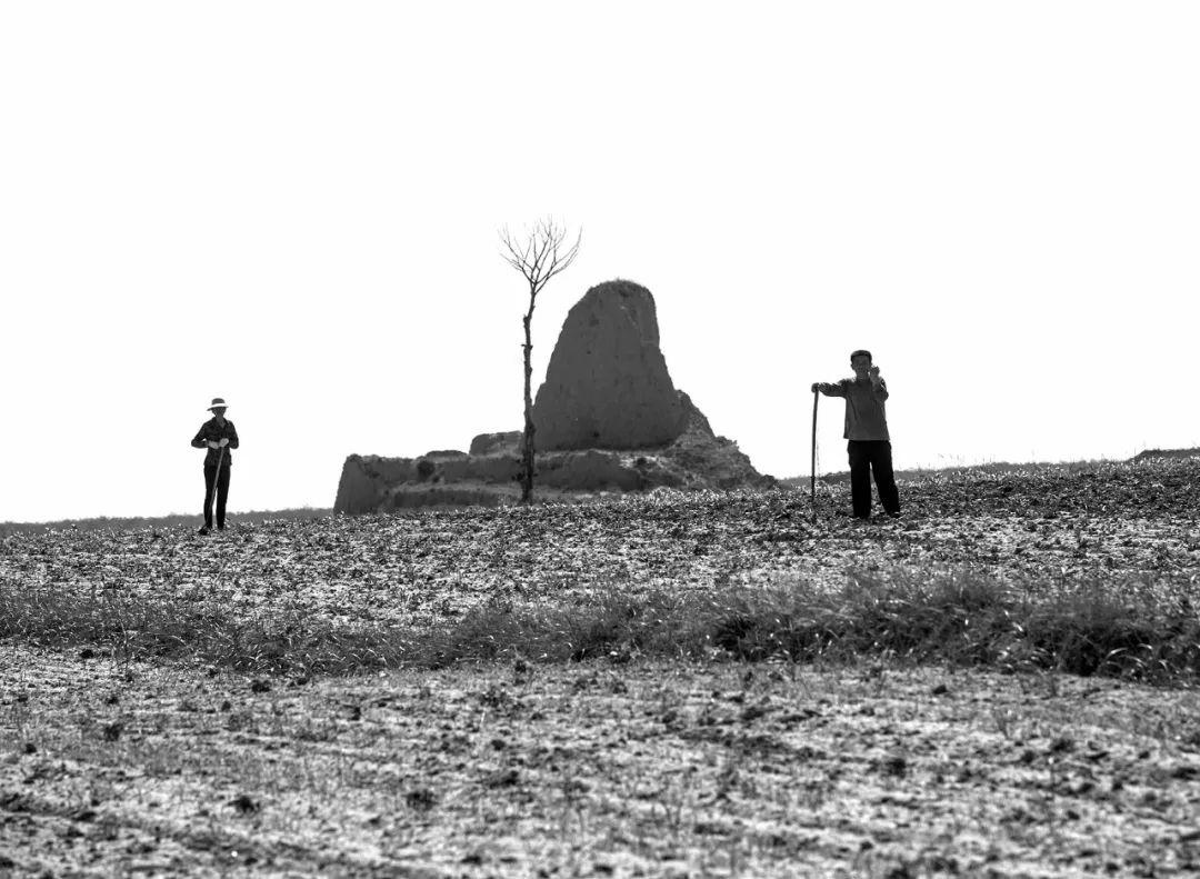 2011年摄于阳高镇宏堡,王拴柱儿女都在外地打工,家里的几亩地全靠夫妇
