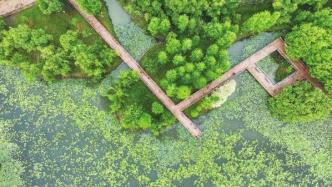 湖南永州道县：生态公园好休闲