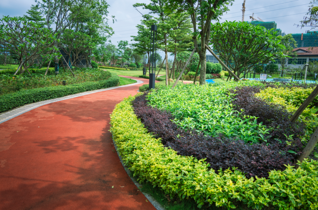 突然火了!鼎湖区,肇庆新区"公园20分钟效应"亲测有效