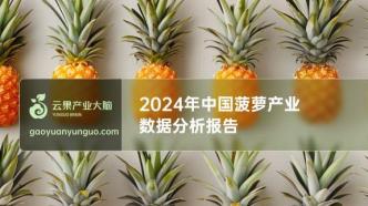 2024年中国菠萝产业数据分析简报