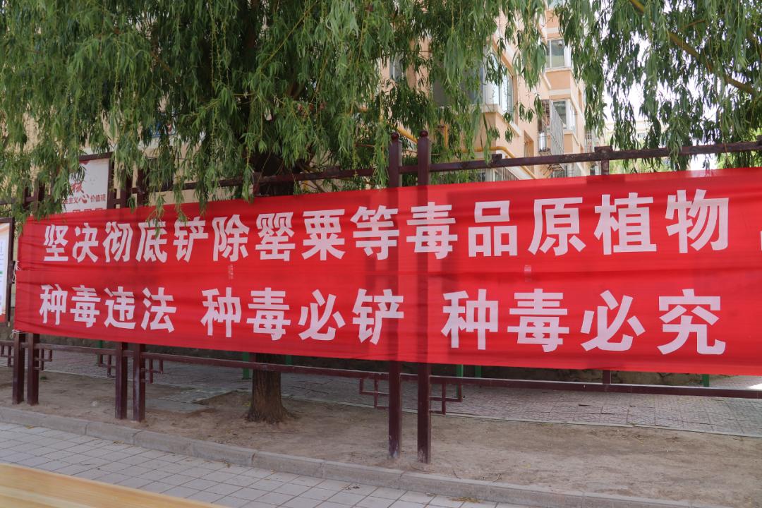 白银区积极开展禁种铲毒踏查宣传活动