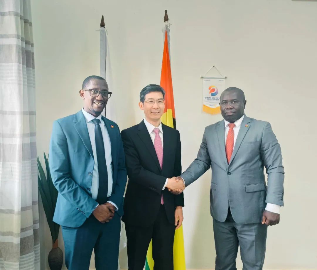 驻几内亚比绍大使到任拜会几比公共卫生部长马卢_澎湃号·政务_澎湃新