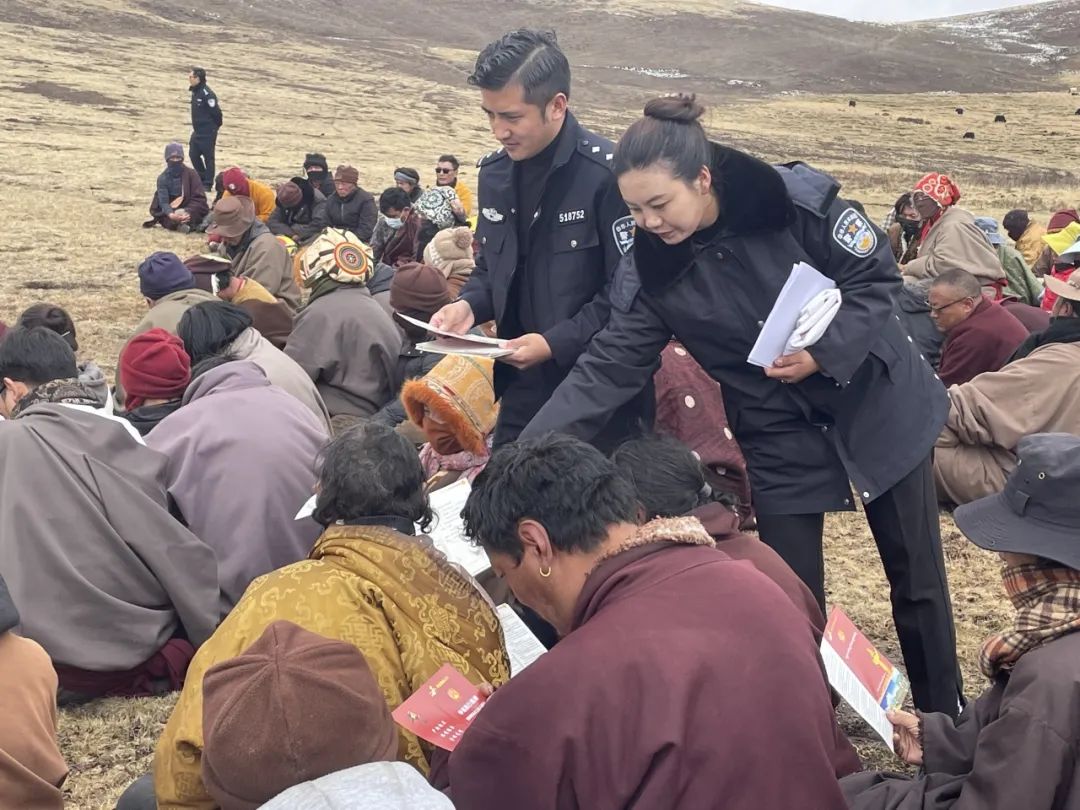 护航虫草季  "雪莲"在行动