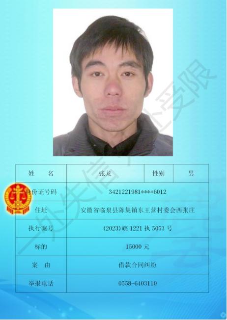 临泉县人民法院以上名单信息以全国法院失信被执行人名单信息公布与