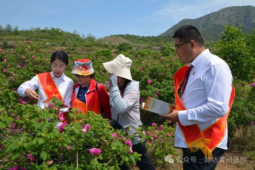 【三强三优】"法"在身边  "典"亮生活——青州法院开展民法典宣传月