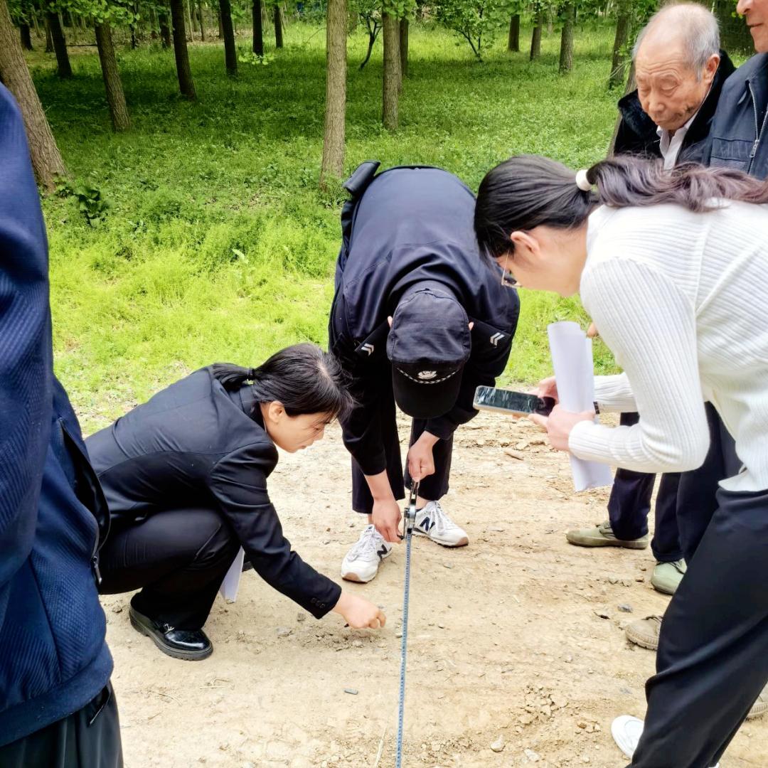 【三强三优】巡回审判绘就人民法庭新"枫景"