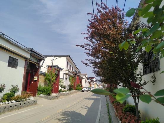 洛龙区:改善农村人居环境 筑牢美丽乡村根基