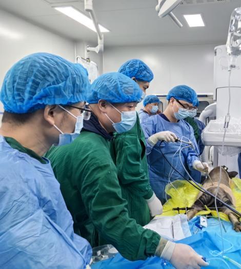 "手把手"式手术培训 助力脊柱微创技术推广 ——中国康复医学会脊柱