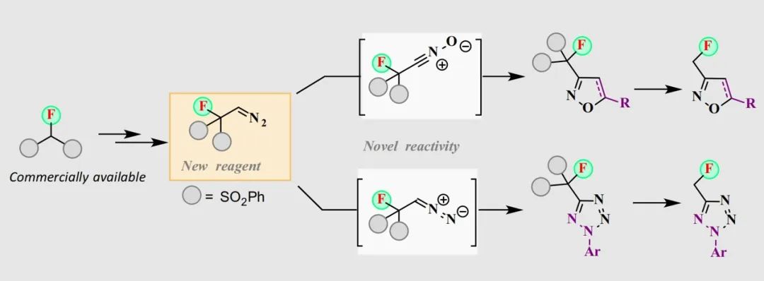 ccs chemistry | 天津大学张发光:单氟重氮乙烷试剂