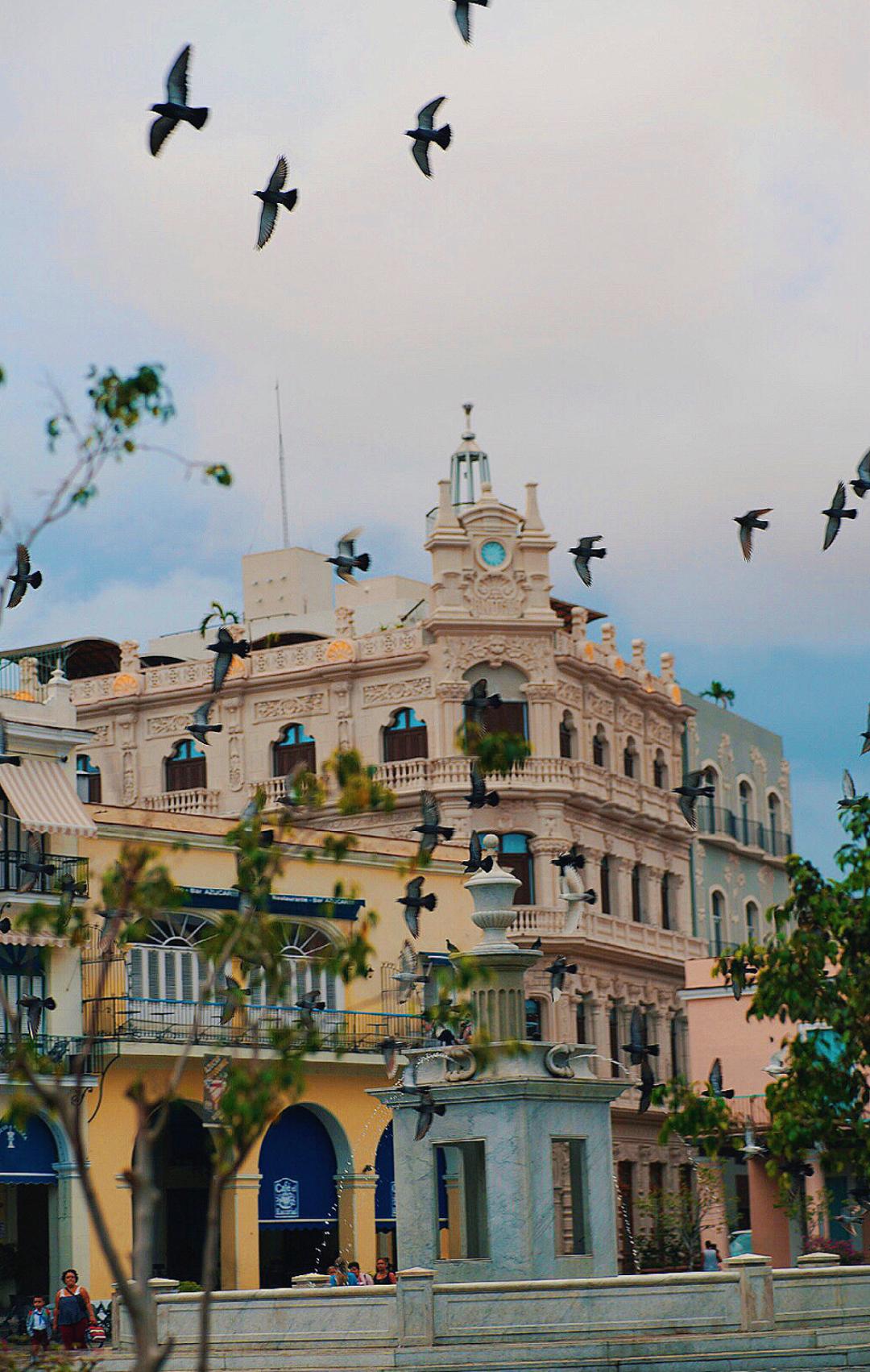 免签 直飞,周杰伦最爱的"音乐艺术殿堂",去看加勒比海