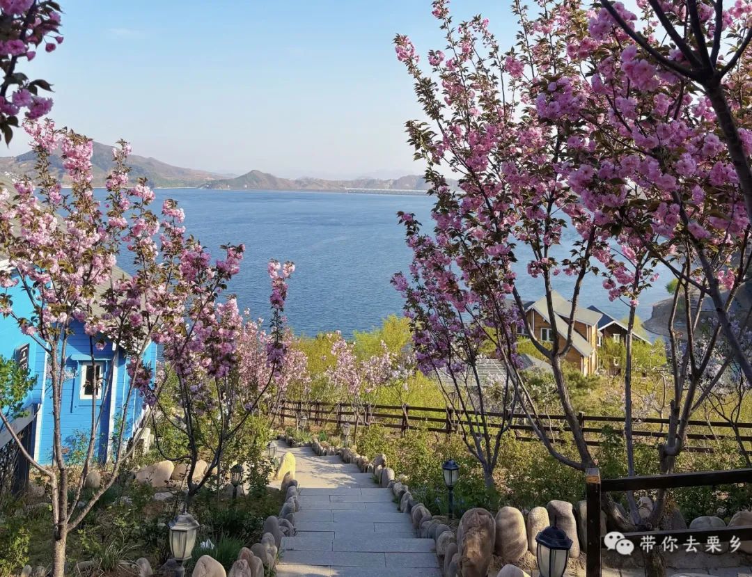 来栗香湖吧 你喜欢的样子它都有