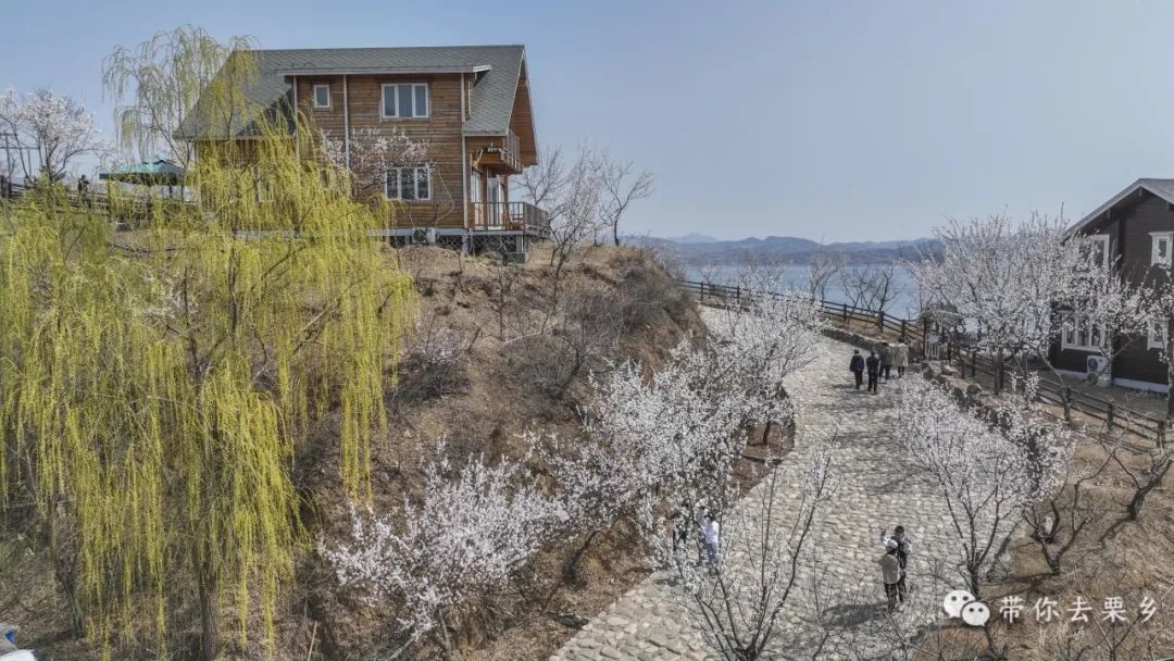 来栗香湖吧 你喜欢的样子它都有